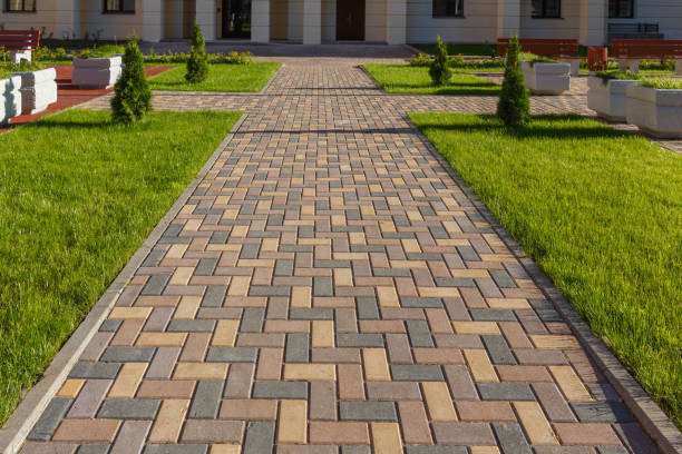 Best Custom Driveway Pavers  in Palmetto Bay, FL